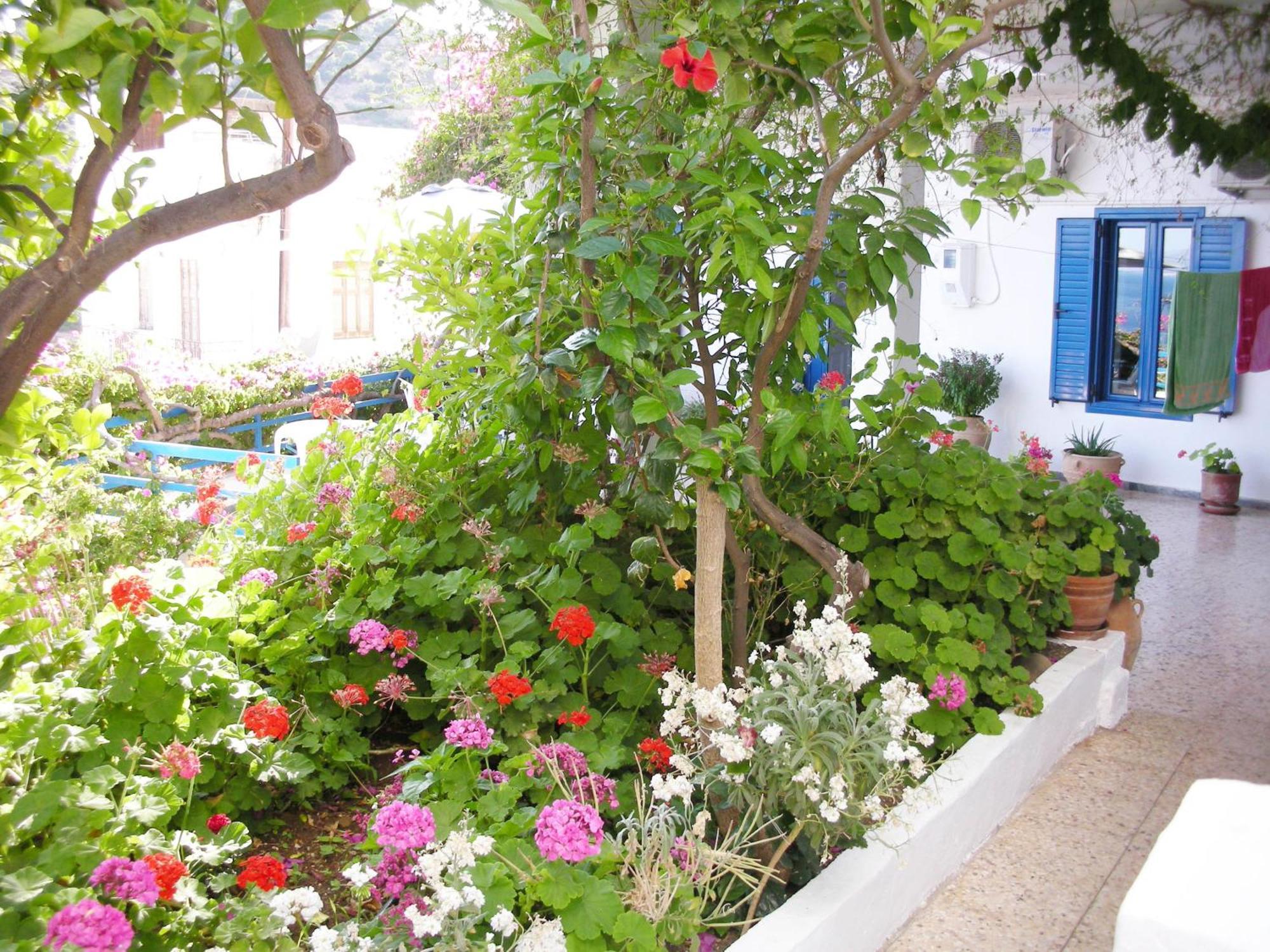 Hotel Hariklia أغيا غاليني المظهر الخارجي الصورة